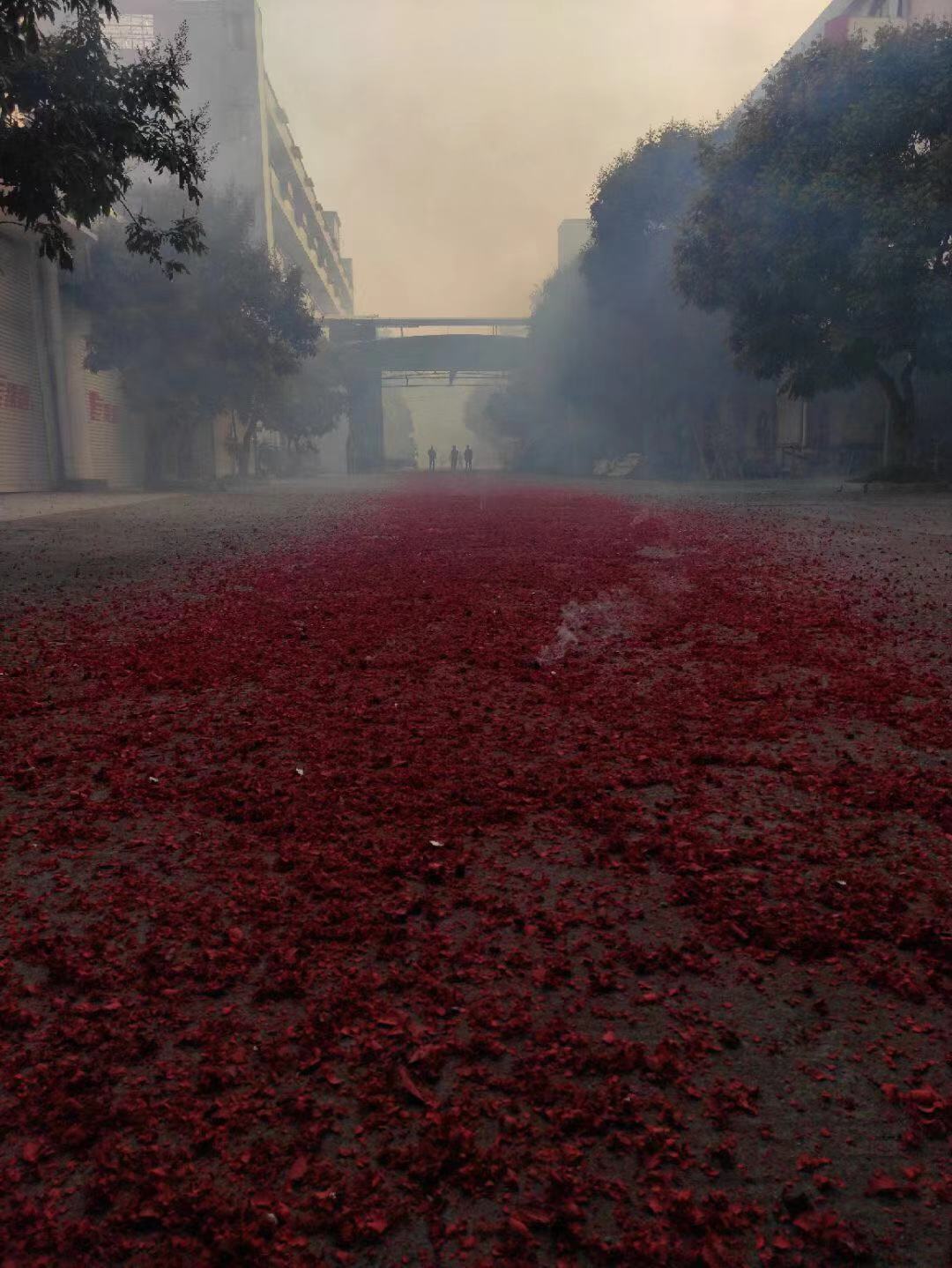 美女靠逼视频软件廚具