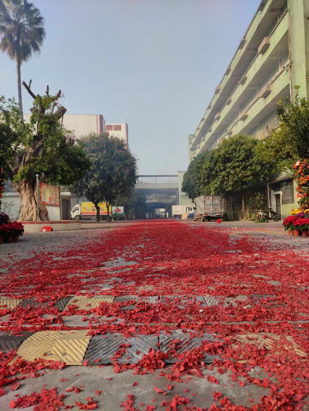 美女靠逼视频软件廚具